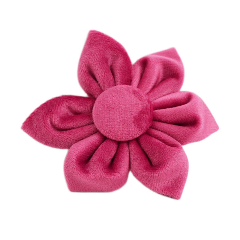 Collier pour Chien en Velours