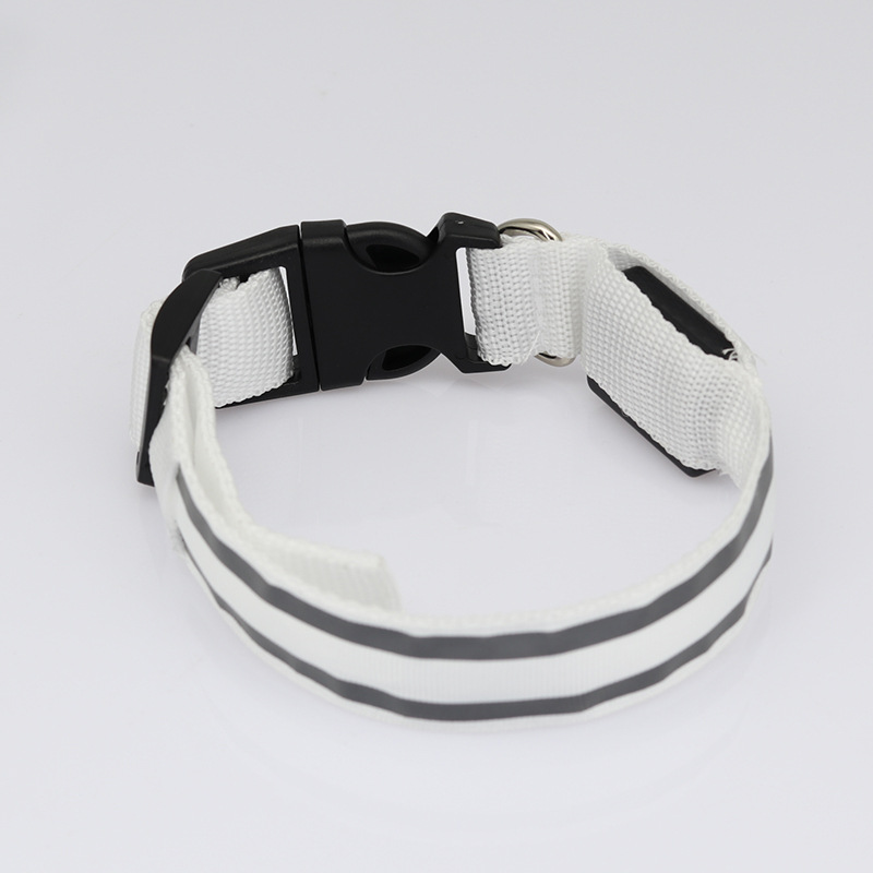 Collier LED lumineux rechargeable pour chien