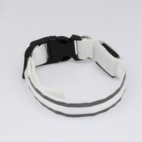 Collier LED lumineux rechargeable pour chien