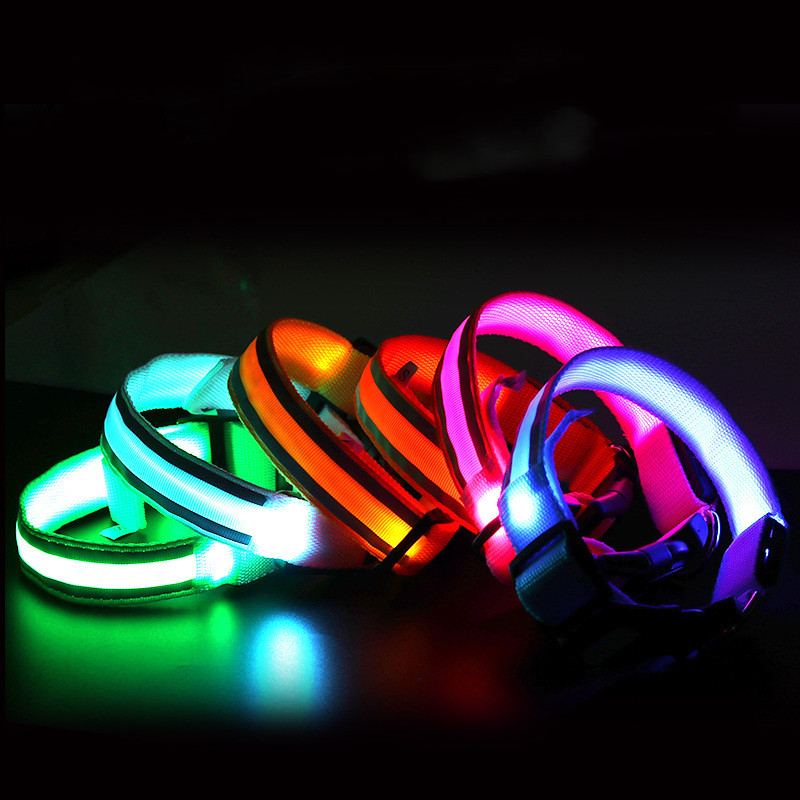 Collier LED lumineux rechargeable pour chien