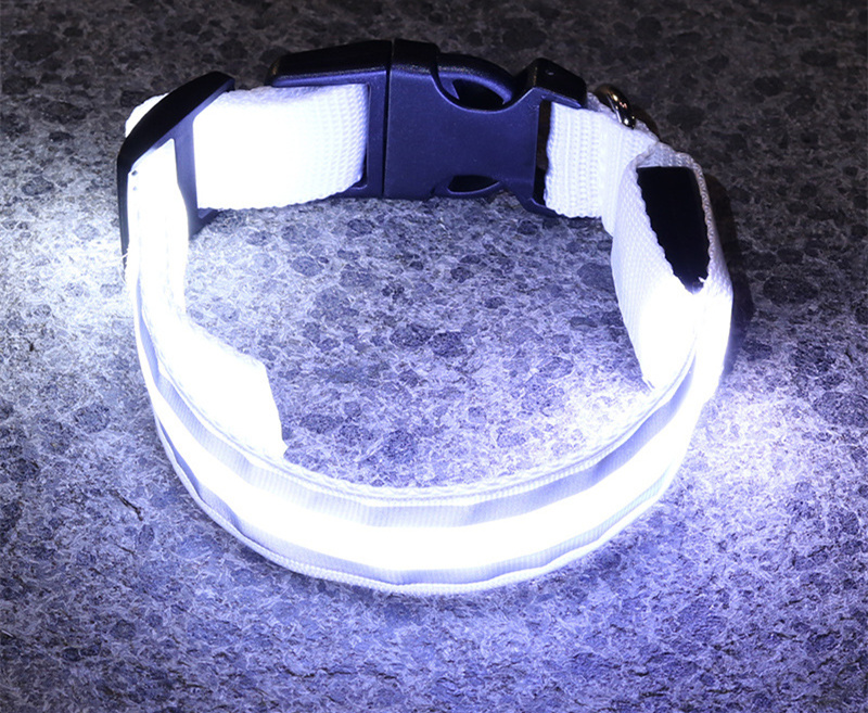 Collier LED lumineux rechargeable pour chien