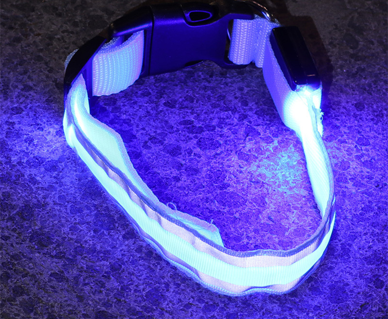 Collier LED lumineux rechargeable pour chien