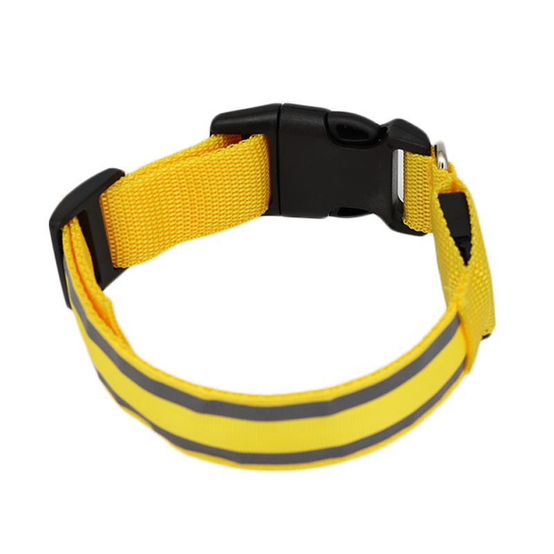 Collier LED lumineux rechargeable pour chien