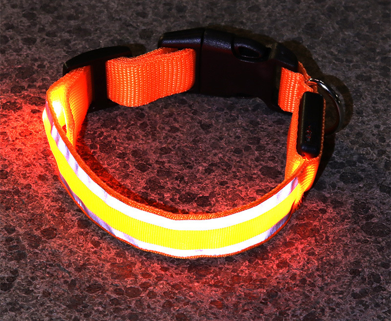 Collier LED lumineux rechargeable pour chien