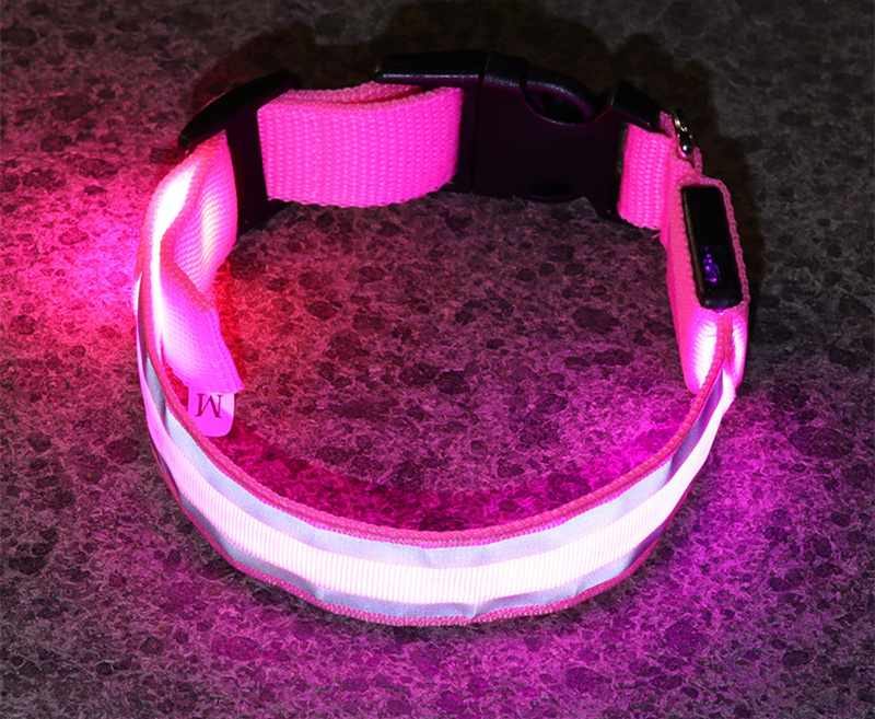 Collier LED lumineux rechargeable pour chien