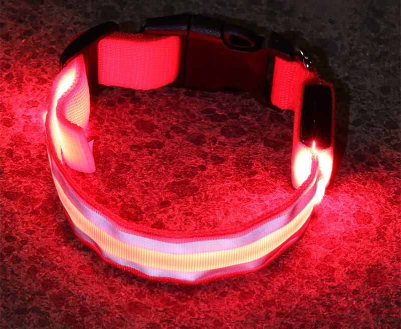 Collier LED lumineux rechargeable pour chien