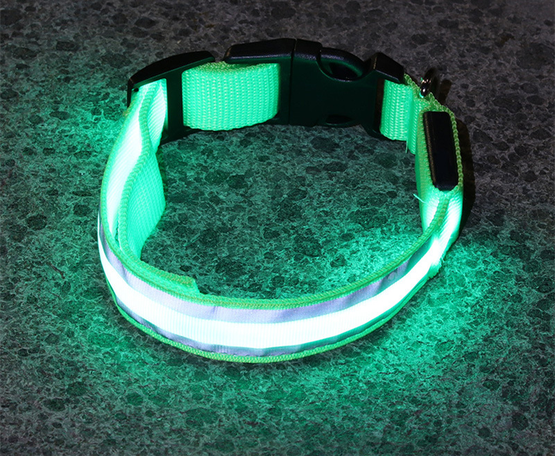 Collier LED lumineux rechargeable pour chien