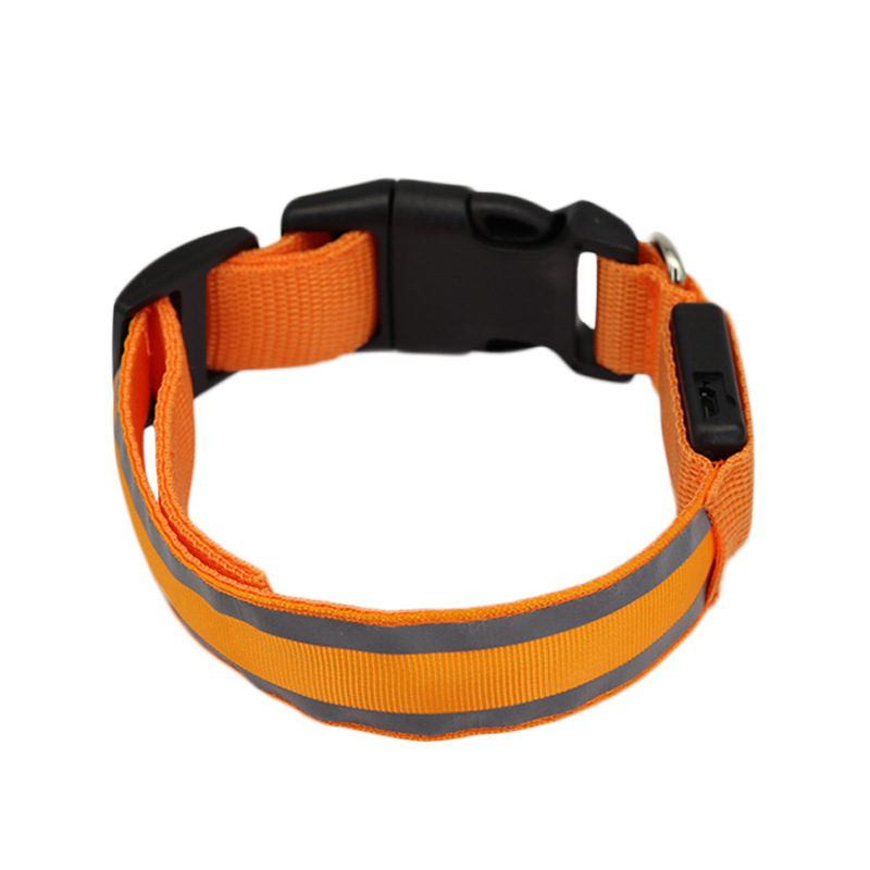 Collier LED lumineux rechargeable pour chien
