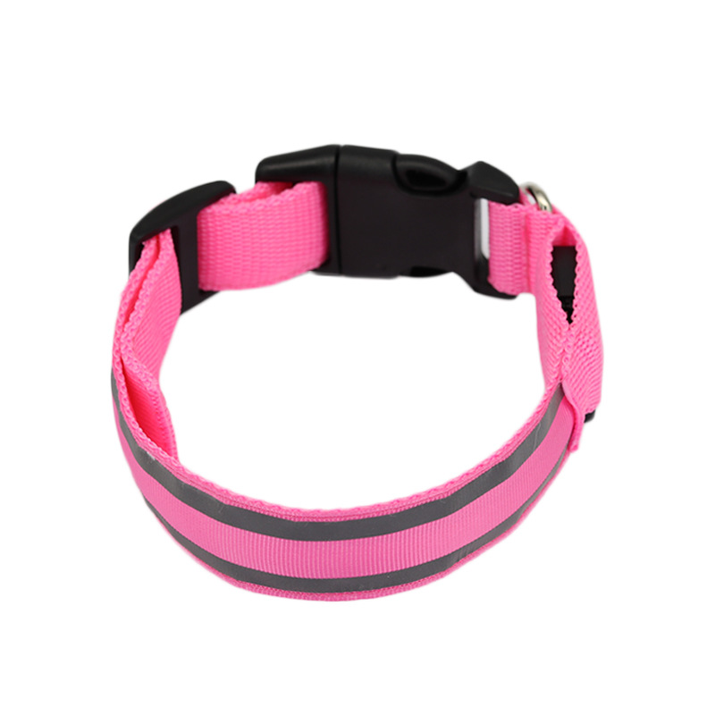 Collier LED lumineux rechargeable pour chien
