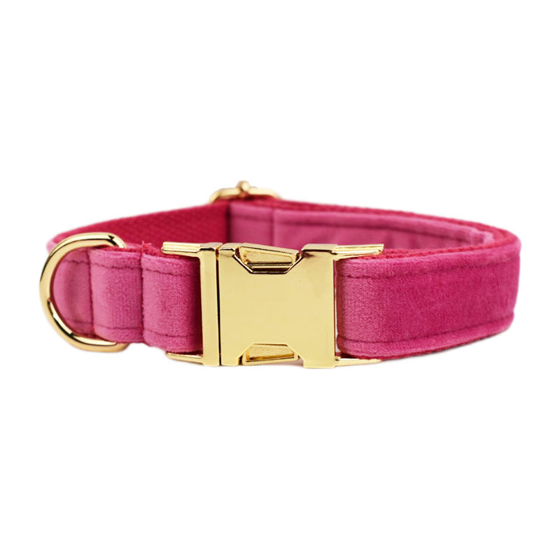 Collier pour Chien en Velours