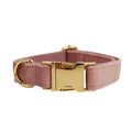 Collier pour Chien en Velours Rose Poudré | Laisse, Harnais & Accessoires
