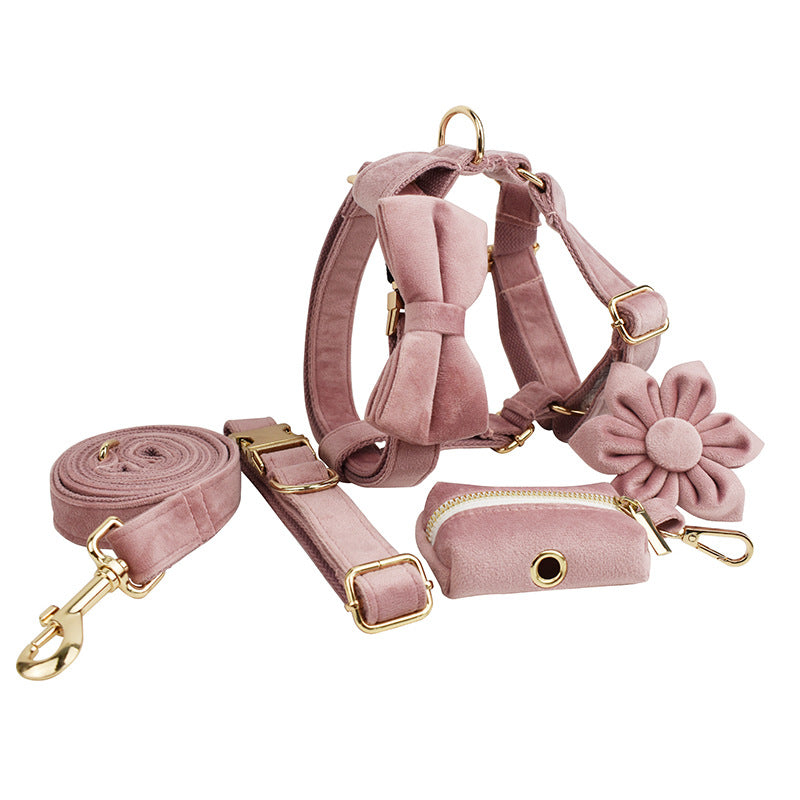 Collier pour Chien en Velours Rose Poudré | Laisse, Harnais & Accessoires