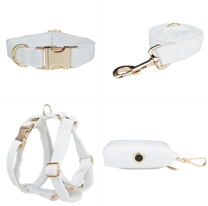 Collier pour Chien en Velours