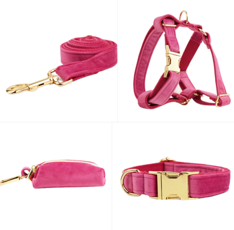 Collier pour Chien en Velours