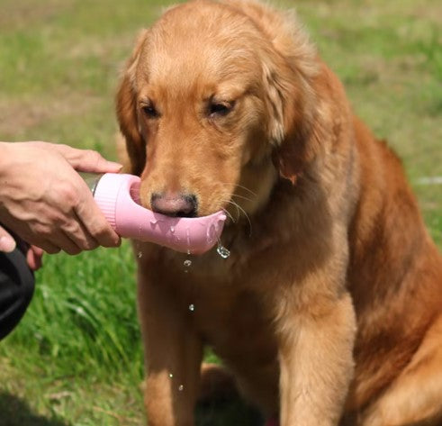 Gourde 2-en-1 portable pour chien et chat