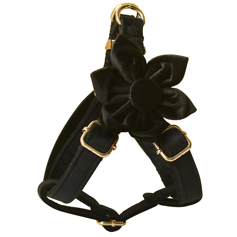 Harnais pour Chien en Flanelle Noire – Boucle Dorée | Laisse & Sangle
