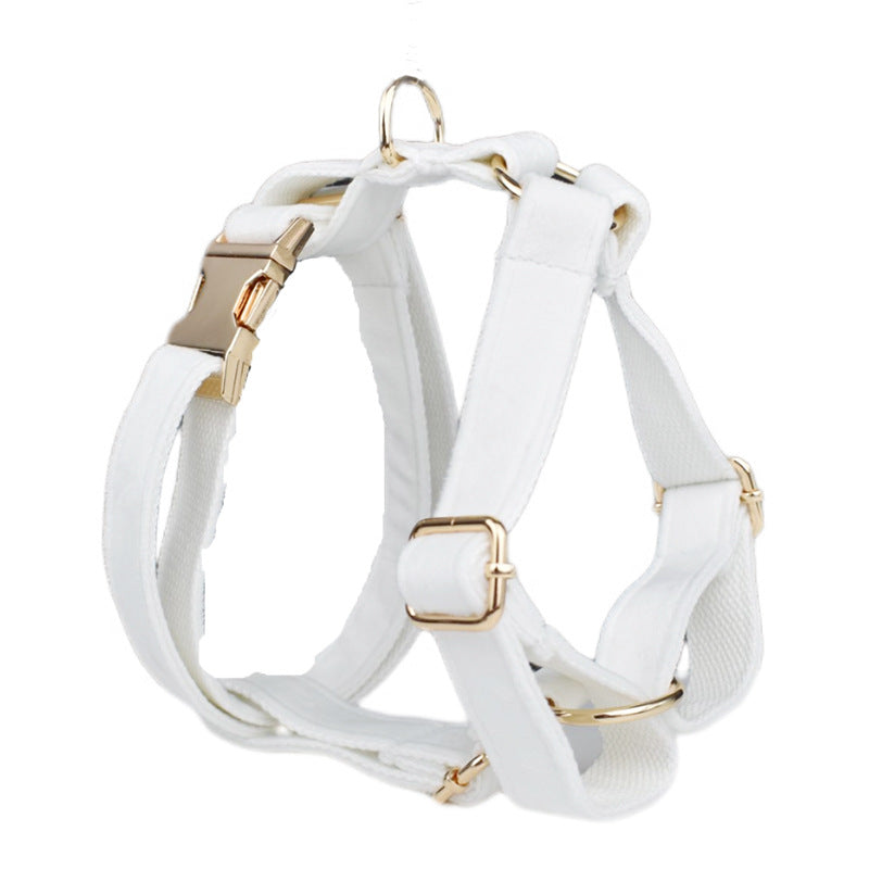 Collier pour Chien en Velours
