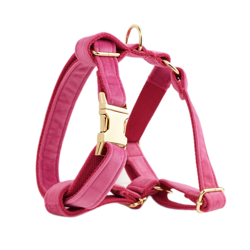 Collier pour Chien en Velours