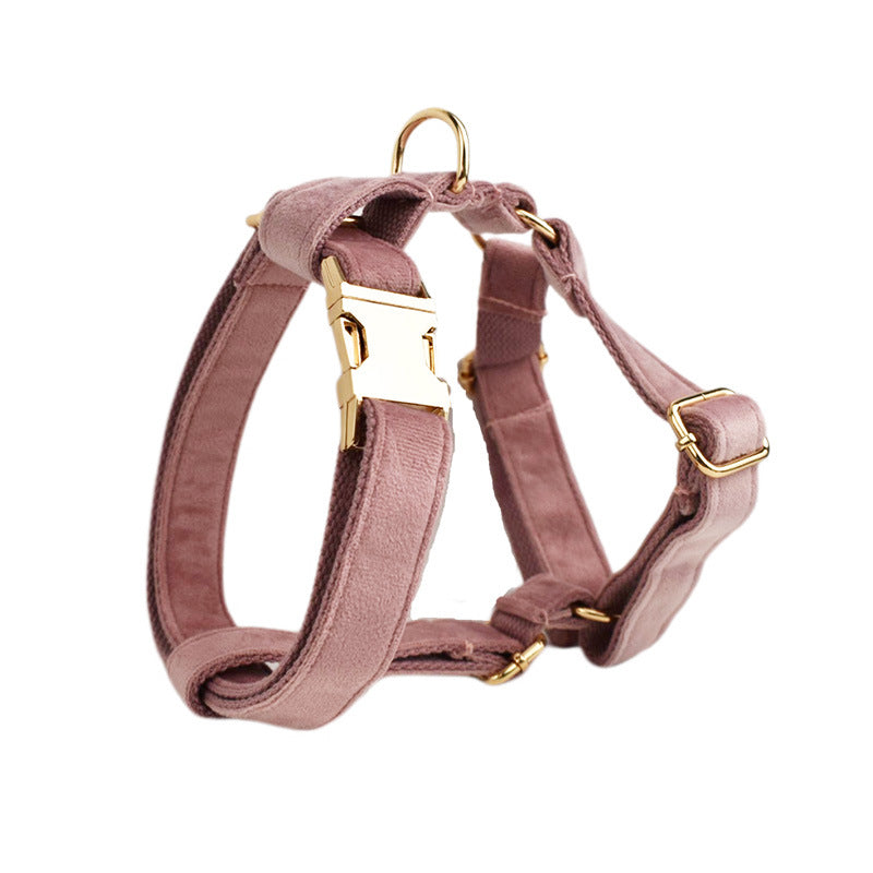 Collier pour Chien en Velours Rose Poudré | Laisse, Harnais & Accessoires