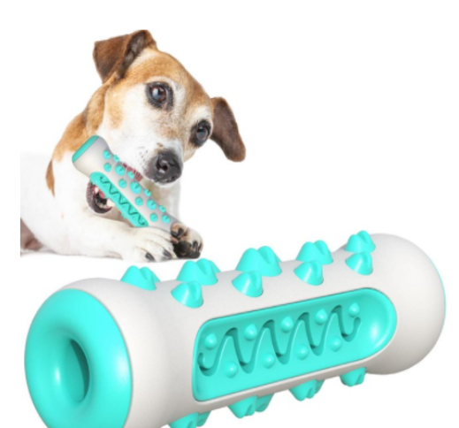 Jouet brosse à dents molaire pour chien