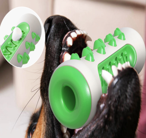 Jouet brosse à dents molaire pour chien