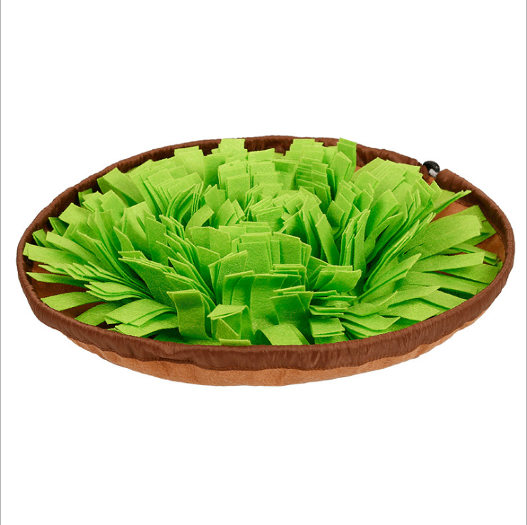 Tapis de fouille 2-en-1 et gamelle anti-glouton pour chien