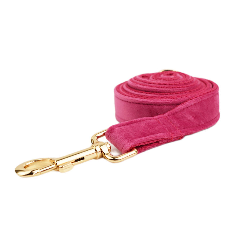 Collier pour Chien en Velours