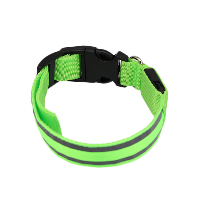 Collier LED lumineux rechargeable pour chien